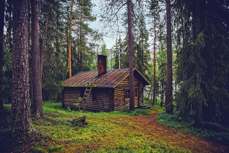 Log Cabin in the Woods