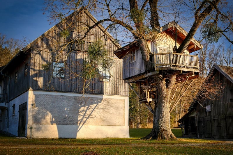 Treehouse Lodge in Africa